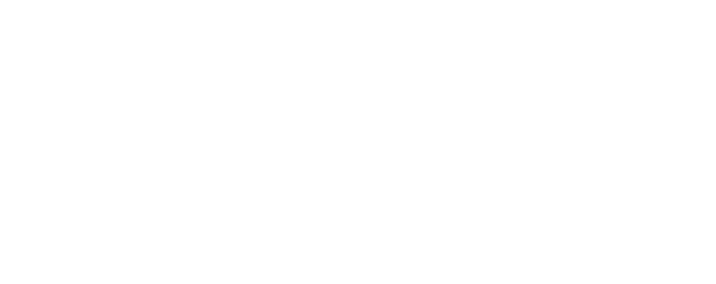 BBI Logo White
