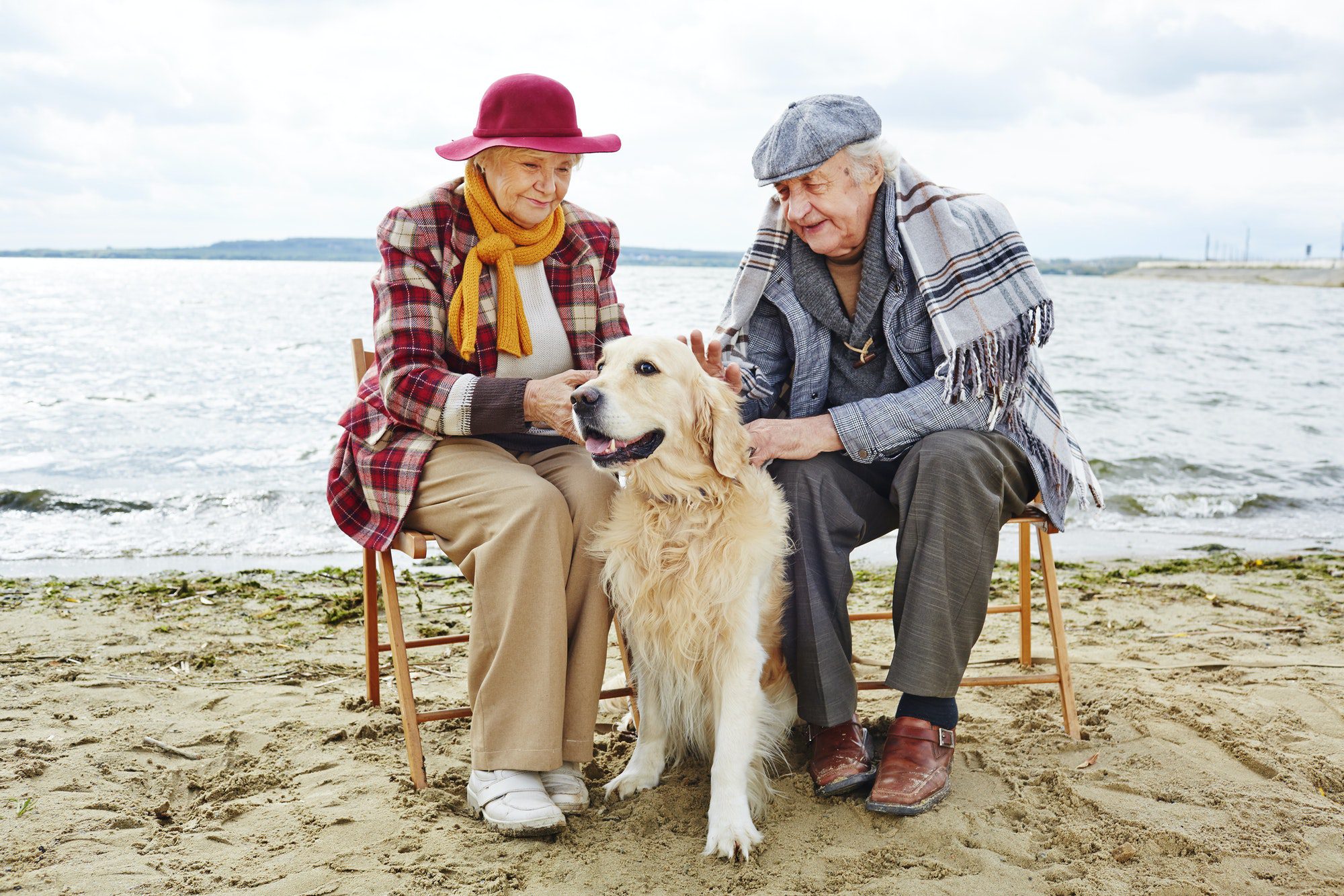 Seniors enjoying time by the sea as they play with their dog and discuss Medigap Plan G coverage.