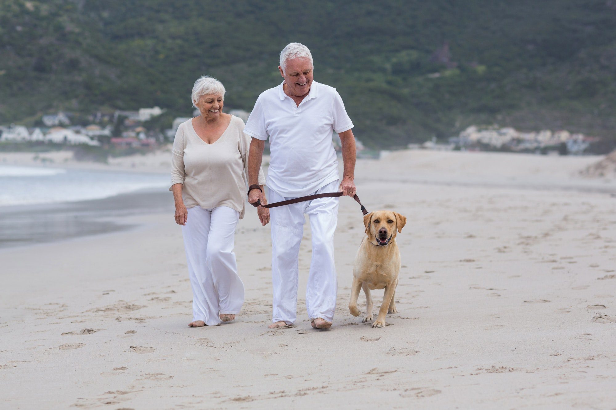 Senior couple walking on the beach with dog as they discuss their medigap plan G being so popular.