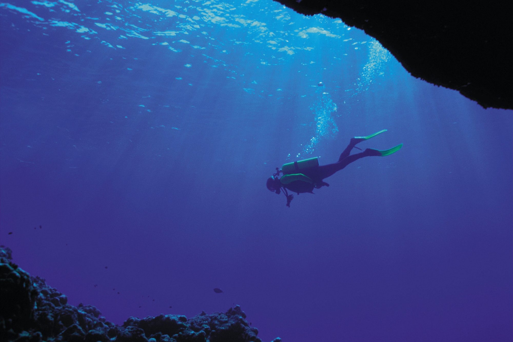 Diver photo representing Deep Dive into Medigap Plan N